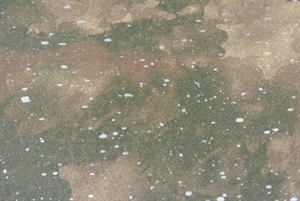 Bogen 70x 100cm, Weltall, braun/grün Bogen 70x 100cm, Weltall, braun/grün