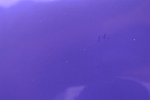 Bogen 70x 100cm, Uni glanz, blauviolet/silber
