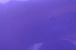 Bogen 70x 100cm, Uni glanz, blauviolet/silber Bogen 70x 100cm, Uni glanz, blauviolet/silber