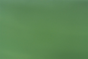 Bogen 70x 100cm, Uni matt, dgrün Bogen 70x 100cm, Uni matt, dgrün