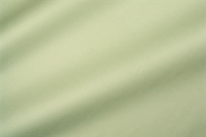 Blm-Papier, 100cm Kraft weiss, lindengrün