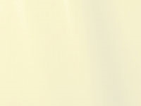 Blumenseide, 70cm x 350m - brillant, champagner Blumenseide, 70cm x 350m - brillant, champagner