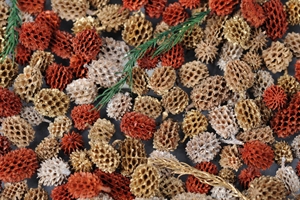 Spicy Exotics, org. India L8x 8x H24cm, burn-antik Spicy Exotics, org. India L8x 8x H24cm, burn-antik