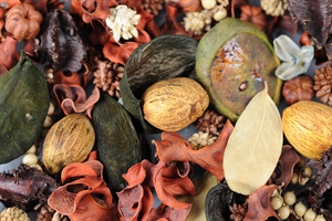 Spicy Exotics, org. India L8x 8x H24cm, Spicy Exotics, org. India L8x 8x H24cm,