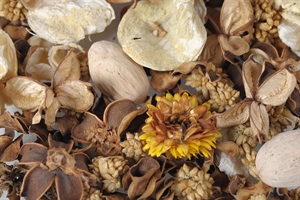Exotic, Dekoration L8x 8x H24cm, natural & yellow Exotic, Dekoration L8x 8x H24cm, natural & yellow