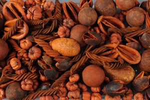 Deco, Naturprodukte Mix - festlich , rot/orange* Deco, Naturprodukte Mix - festlich , rot/orange*