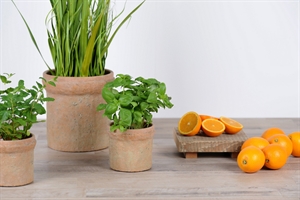 Blumentopf, Keramik Ø31.5x H27cm, raw brick Blumentopf, Keramik Ø31.5x H27cm, raw brick