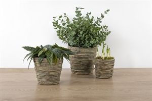 BlumenTopf, Zement Benjeshecke Ø21.5x H20cm, natur BlumenTopf, Zement Benjeshecke Ø21.5x H20cm, natur