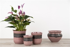 Blumentopf, Flash Ø15.5x H15cm, purple Blumentopf, Flash Ø15.5x H15cm, purple