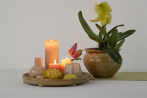 Rundschale, Miel Ø32x H3.5cm, honig Rundschale, Miel Ø32x H3.5cm, honig