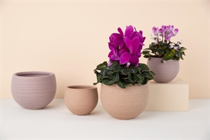 Blumentopf, Dawn Ø12.5x H10cm, peach Blumentopf, Dawn Ø12.5x H10cm, peach