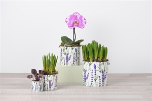 Blumentopf, Lavendel Keramik Ø6.5x H6cm, lila Blumentopf, Lavendel Keramik Ø6.5x H6cm, lila