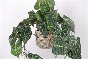 Blumentopf, Drip Drop Keramik hängend Ø15x H13.5cm Blumentopf, Drip Drop Keramik hängend Ø15x H13.5cm