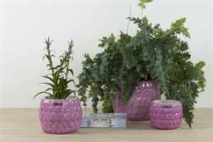 Blumentopf, Party Ø14x H11cm, pink Blumentopf, Party Ø14x H11cm, pink