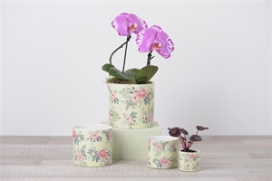 Blumentopf, Roseraie Ø6.5x H6cm, rosa Blumentopf, Roseraie Ø6.5x H6cm, rosa