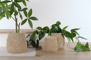 Blumentopf, Trenza Ø19.5x H18.5cm, zement Blumentopf, Trenza Ø19.5x H18.5cm, zement
