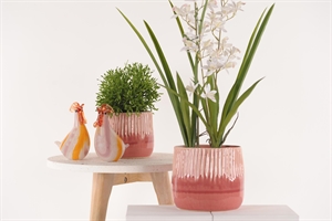 Blumentopf, Rosaripp Ø14.2x H12.4cm, rosa Blumentopf, Rosaripp Ø14.2x H12.4cm, rosa