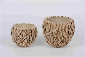 BlumenTopf, Korallenriff Keramik Ø21x H18cm, creme BlumenTopf, Korallenriff Keramik Ø21x H18cm, creme