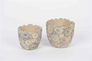 Blumentopf, Fungi gills Ø11.5x H10.5cm, zement Blumentopf, Fungi gills Ø11.5x H10.5cm, zement