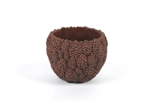 Blumentopf, Fruit fossil Ø19.5x H15cm, dbraun Blumentopf, Fruit fossil Ø19.5x H15cm, dbraun