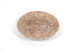 BlumenSchale, Samambaia Zement Ø27x 4cm, natur BlumenSchale, Samambaia Zement Ø27x 4cm, natur