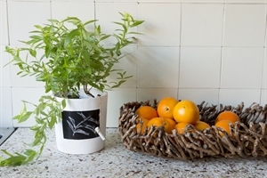 Schale, aus Zweigen - L55x 23x H12cm, natur Schale, aus Zweigen - L55x 23x H12cm, natur