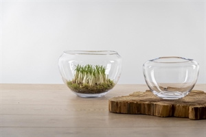 Glasschale, Ritzy Ø30x H20cm, klar Glasschale, Ritzy Ø30x H20cm, klar