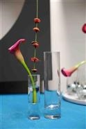 GlasVase, Soliflor - 3.5x 13cm, klar GlasVase, Soliflor - 3.5x 13cm, klar