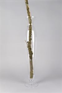 Glasvase, Skinny - 13.5x 70cm, klar Glasvase, Skinny - 13.5x 70cm, klar