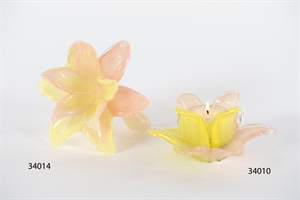 Teelichthalter, Amaryllis - Ø14x H7cm, peach/yellow Teelichthalter, Amaryllis - Ø14x H7cm, peach/yellow