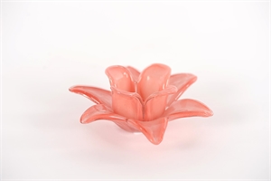 Teelichthalter, Amaryllis - Ø14x H7cm, red pink Teelichthalter, Amaryllis - Ø14x H7cm, red pink