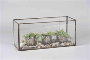 Vitrine, Glas L40x 16x H18cm, burn antik