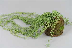 Zierpflanze, hängend H78cm, grün Zierpflanze, hängend H78cm, grün