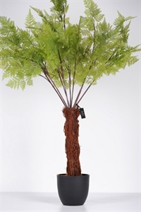 Zierpflanze, Green Fern H130cm, grün Zierpflanze, Green Fern H130cm, grün