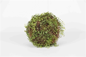 Kugelstrauch, Bubikopf - Ø30cm, grün Kugelstrauch, Bubikopf - Ø30cm, grün