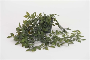 Pflanze, hängend - Tradescantia H65cm, grün