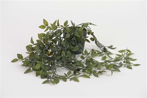Pflanze, hängend - Tradescantia H65cm, grün Pflanze, hängend - Tradescantia H65cm, grün