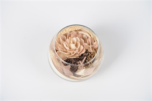Blume in Glasvase, Ø10x H8cm, Dalia Blume in Glasvase, Ø10x H8cm, Dalia