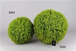 Kugelstrauch, aus Gras - 33cm, grün Kugelstrauch, aus Gras - 33cm, grün