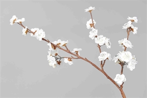 Zweig, mit Blüten L90cm, weiss Zweig, mit Blüten L90cm, weiss