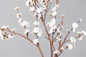 Zweig, mit Blüten L105cm, weiss Zweig, mit Blüten L105cm, weiss