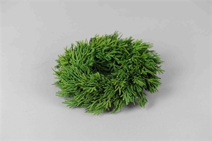 Deko Kranz, Thuja smaragd Ø20cm, grün Deko Kranz, Thuja smaragd Ø20cm, grün