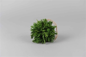 Deko Kugel, Thuja smaragd 10cm, grün Deko Kugel, Thuja smaragd 10cm, grün