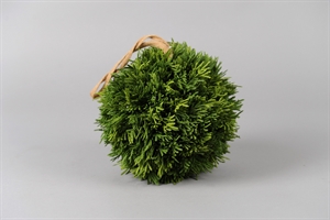 Deko Kugel, Thuja smaragd 20cm, grün Deko Kugel, Thuja smaragd 20cm, grün