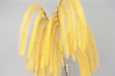 Feder, Belle Plume L125~185cm, jaune