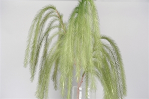 Feder, Belle Plume L125~185cm, verte Feder, Belle Plume L125~185cm, verte