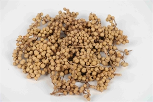 Canella 500gr, gelb Canella 500gr, gelb