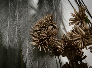 Deko Zweig, Branche L~110cm, brune Deko Zweig, Branche L~110cm, brune