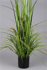 Schilf dekorativ - 120cm, grün Schilf dekorativ - 120cm, grün