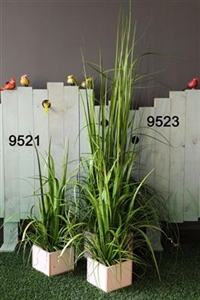 Schilf dekorativ - 150cm, grün* Schilf dekorativ - 150cm, grün*